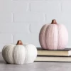 Transpac Dolomite Pastel Knit Pumpkin Decor Set Of 2 Resin Sculptures For Fall Halloween Indoor Tabletop Decoration